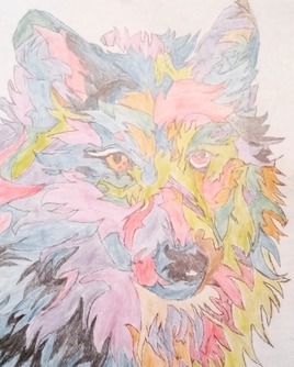 Loup en Couleurs