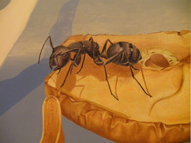 D&eacute;tail Rando n&deg;2-2012