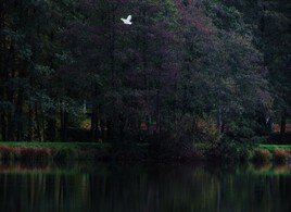 La joie se déploie dans le secret de mon âme.