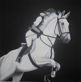 Jumping (equitation cheval) noir et blanc