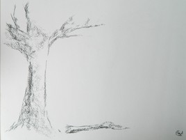 " La mémoire de l'arbre "