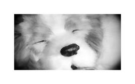 "Sleeping in a house full of love"...