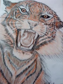 " Le tigre "