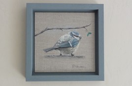 La fidèle Mésange bleue