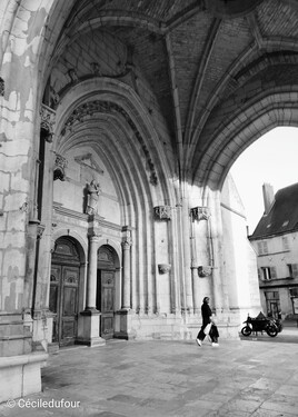 La coll&eacute;giale