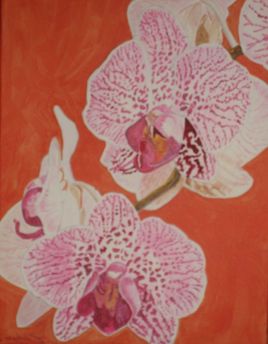Orchidée VIII