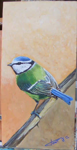 M&eacute;sange bleu