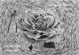 &bull; CARESSEZ DU BOUT DE VOS P&Eacute;TALES ET DENTELLES LE MAUVE D&Eacute;DALE DE CES REFLETS SECRETS.