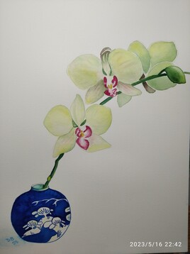 L'orchidée chinoise