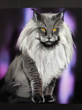 Maine coon Black smoke