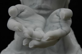 siddharta detail main2