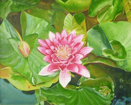 fleur de n&eacute;nuphar-grenouille