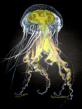 Fascinante méduse