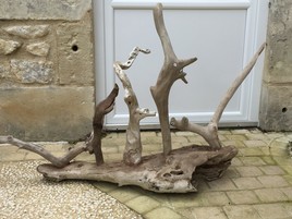 Les 5 animaux myst&eacute;rieux