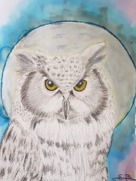 COUCOU HIBOU COUCOU HIBOU