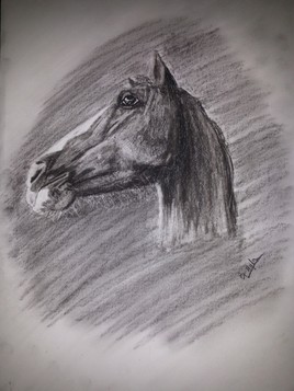 portrait paint horse solid
