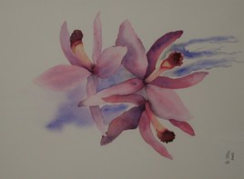 orchid&eacute;e laelia perrini