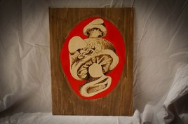 Champignons burlesques