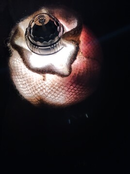 Maille de tricoter et lumi&egrave;re