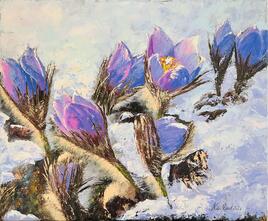 Crocus sous la neige