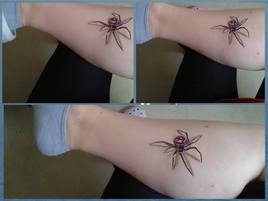 Araignée chatouilleuse