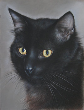 Melchior, le chat noir