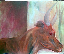 tête de taureau camargue orange