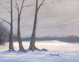 Neige &agrave; l'abbaye de Trois-Fontaines