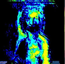 LE SAINT SUAIREDE TURIN