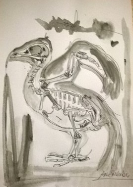Skeleton Bird II