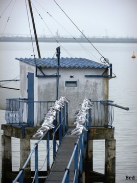 En attendant que ça s'calme !