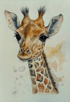 Girafe
