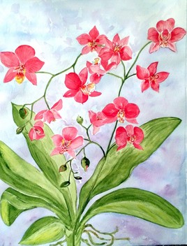 Valse d'orchidée