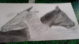 Duo de chevaux