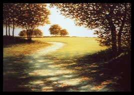 chemin à Séné / path in Séné