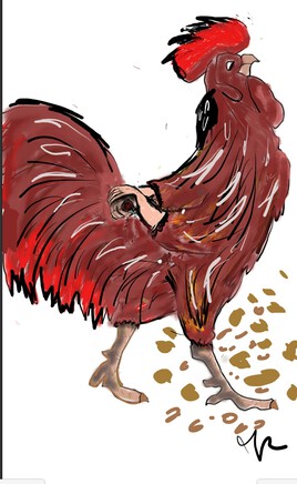 Fière comme un coq