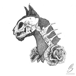 "Chat noir chat blancs"