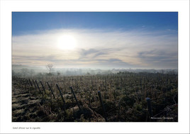 Lumière magique sur ma campagne
