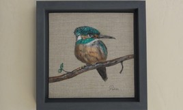 Le Martin-pêcheur vert