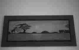 savane au coucher de soleil