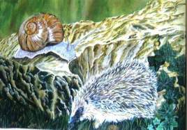 L'escargot et le hérisson