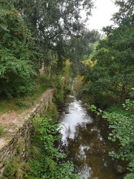 Le ruisseau