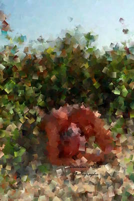 ... &eacute;change ...