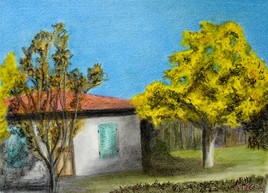 Maisonnette au mimosa sur V.C. 33