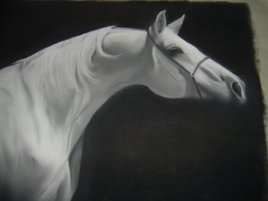 cheval arable blanc