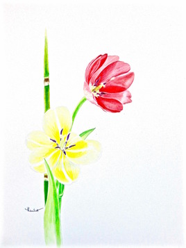 Tulipes jaune et rouge / Painting : Yellow and red tulips