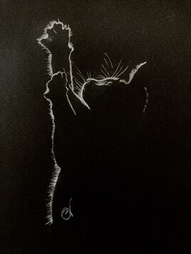 Jeu de lumi&egrave;re