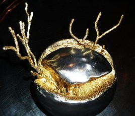 sph&egrave;re oxydov&eacute;g&eacute;talis&eacute; 4