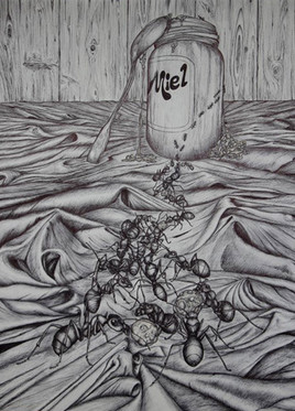 Bestiaire du petit monde qui nous entoure N&deg; 14