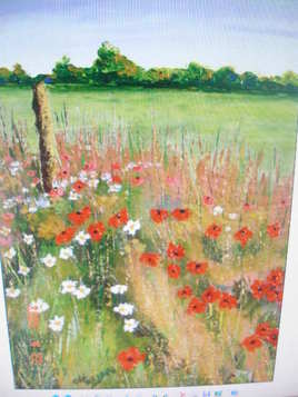 Champ de coquelicots.